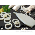 Processed squid Todarodes Illex Squid Tube